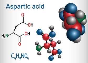 Aspartic acid (L- aspartic acid, Asp, D, aspartate) proteinogenic amino acid molecule.  Structural chemical formula and molecule model