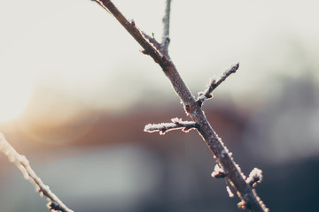 Winterlandschaft in Ostdeutschland
