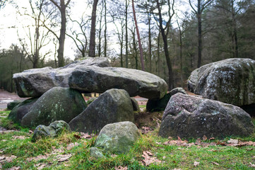 Large stones on green grass in a forest park, against the background of trees.