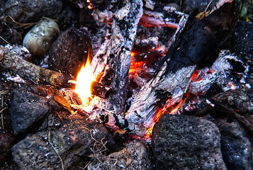  Close-up shot of burning wood fire and coal.