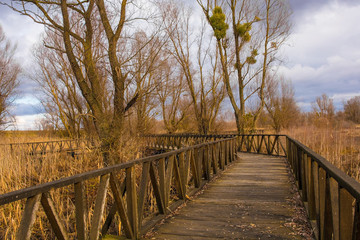 A wooden walkway in the Kopacki Rit Nature Reserve in winter in north east Croatia. Located by the...