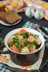 Ragout with turkey and carrots in a pot on a dark background