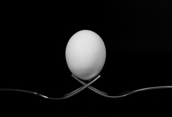 White egg  resting on two metal and shiny forks on a black background
