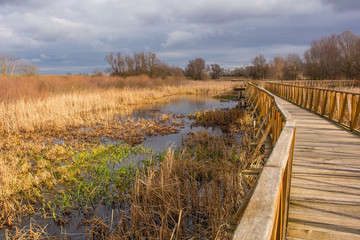 Fototapeta premium A wooden walkway in the Kopacki Rit Nature Reserve in winter in north east Croatia. Located by the Serbian border, close to the confluence of the Drava and Danube rivers, it is one of the largest and 