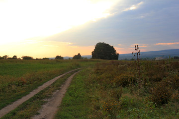 Fototapeta premium Landscape with meadow and road at sunset
