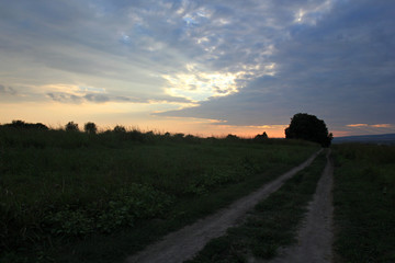 Fototapeta premium Landscape with meadow and road at sunset
