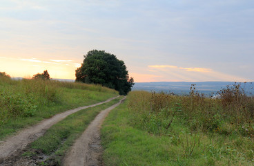 Landscape with meadow and road at sunset