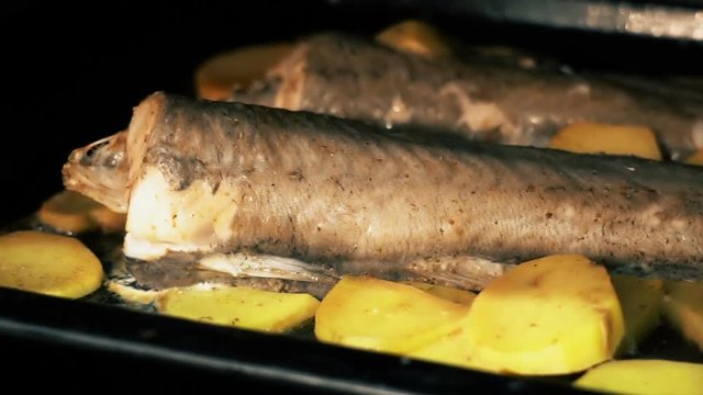 Fish and chips dish. Fish and potatoes baked in oven. Healthy cooking, tasty food.