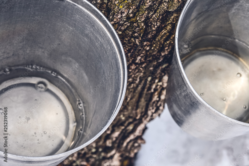 Wall mural buckets with maple sap collected from trees