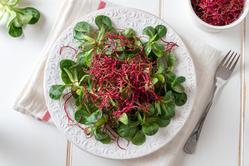 Salad with lamb's lettuce and fresh red beet sprouts