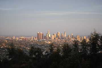 Fototapeta premium LA