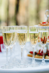 wedding glasses for wine and champagne