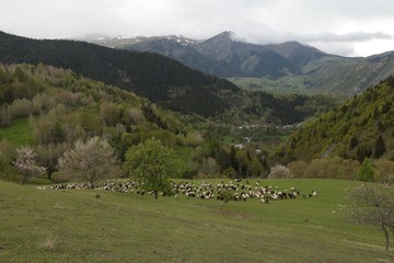 green village views. savsat/artvin/turkey