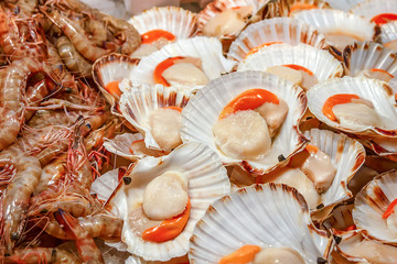 Scallops for sale at the Rialto fish market - Venice