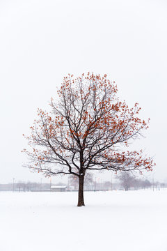 On the cusp of winter