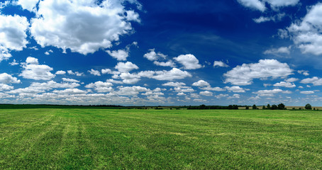 Fototapeta premium Rural spring landscape