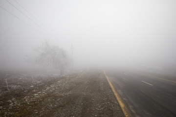 Landscape with beautiful fog in forest on hill or Trail through a mysterious winter forest with autumn leaves on the ground. Road through a winter forest. Magical atmosphere.