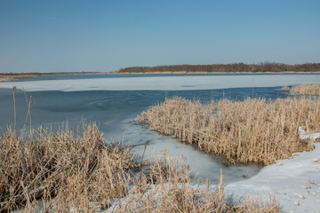 Snow on the shore of a frozen lake and dry reeds. Horizon and blue sky