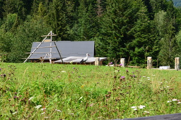 Rural landscape.