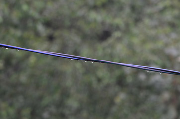 Water drops on a wire.
