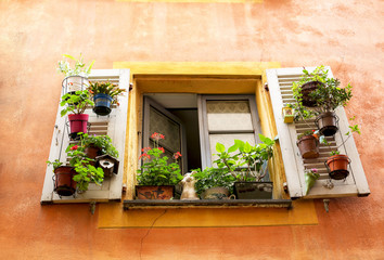Fototapeta na wymiar Colorful Facade of the Typical Europe building.. Open Windows and Flowers on a Balcony, France.