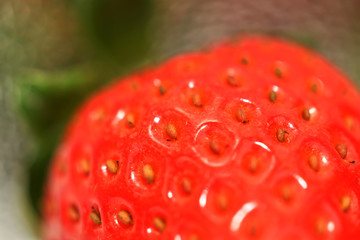 Erdbeere Nahaufnahme