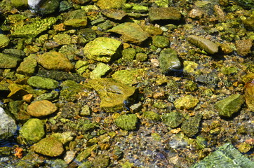 Mountain river.