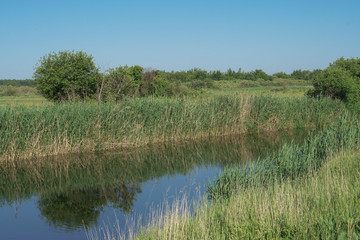 Pretty river in rural areas. European landscape of Russia and Siberia. Beautiful tranquil view of nature. Stock background, photo.