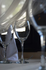 beverage, wine, white, drink, event, luxury, celebration, taste, glass, alcohol, winery, liquid, wineglass, bar, grape, sweet, prestige, collection, thirsty, cafe, reflection, blurred, smelling, group