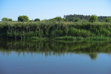 Fototapeta premium Pretty river in rural areas. European landscape of Russia and Siberia. Beautiful tranquil view of nature. Stock background, photo.