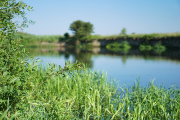 Pretty river in rural areas. European landscape of Russia and Siberia. Beautiful tranquil view of nature. Stock background, photo.