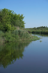 Pretty river in rural areas. European landscape of Russia and Siberia. Beautiful tranquil view of nature. Stock background, photo.