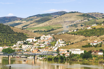 vineyard region with old city, Portugal