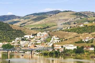 Fototapeta na wymiar vineyard region with old city, Portugal
