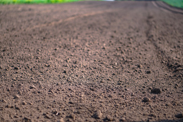 Landscape with agricultural land, in slope, recently plowed and prepared for the crop, with a plantation. summer field. Stock background, photo