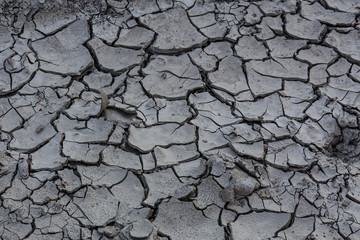 Dry cracked earth.