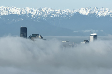 Seattle above a river of clouds and surrounded by dense morning mist in winter