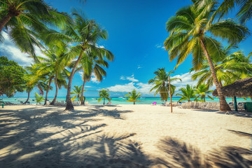Fototapeta na wymiar Volleyball net on tropical beach and Caribbean sea. Punta Cana, Dominican Republic.