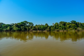 Pantanal forest ecosystem, Mato Grosso, Brazil