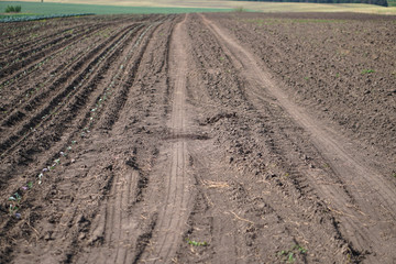 Landscape with agricultural land, in slope, recently plowed and prepared for the crop, with a...