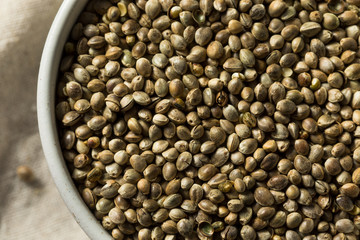 Organic Roasted Hemp Seeds