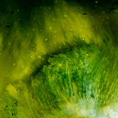 Abstract water colors texture background