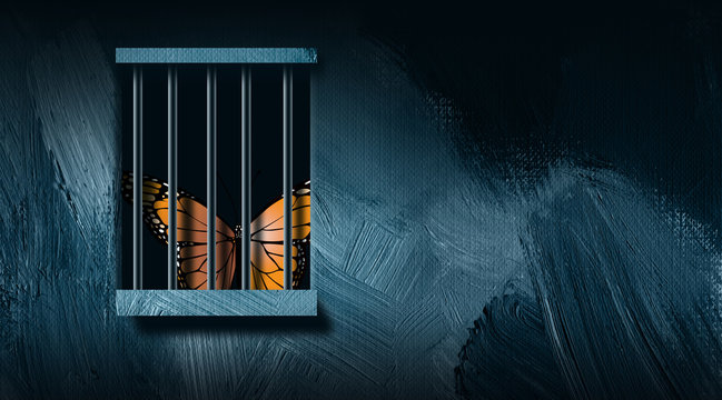 Butterfly Behind Prison Bars Graphic Abstract Background