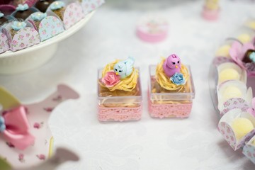Obraz na płótnie Canvas Sweets and decoration on the table - Children's birthday garden theme