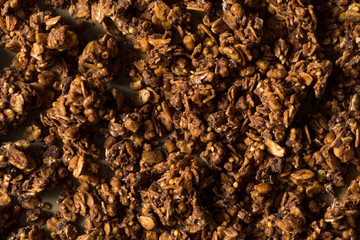 Homemade Chocolate Granola in a Bowl