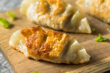 Homemade Korean Mandu Pork Dumplings
