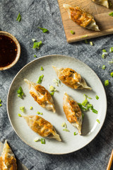 Homemade Korean Mandu Pork Dumplings