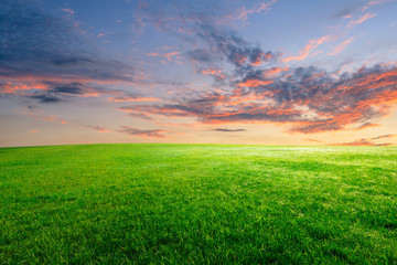Green grass and beautiful sky at sunset