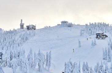 Panoramic view over the ski slope Poiana Brasov ski resort in Transylvania, Pine forest covered in snow on winter season,Mountain landscape in winter with the Bucegi Mountains in the background