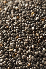 Raw Organic Black Chia Seeds